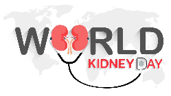 Kidney