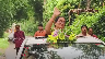 Salepur