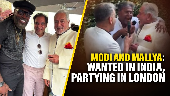 Modi Mallaya