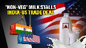 Indo-US Trade