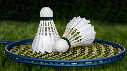 Shuttlecocks