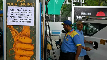 Delhi Environment Minister Manjinder Singh Sirsa addressed a press conference on Thursday, stating that the fuel ban on overage vehicles is not feasible due to technological challenges and there was discontent among people.