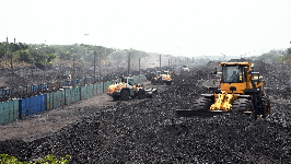 Coal