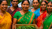 In a remarkable milestone for Odisha’s agriculture sector, women farmers from the Bharalipat Producer Group in Keonjhar's Sadar Block have successfully exported bitter gourd to Dubai for the very first time.