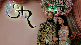 It has been one year since the wedding of Radhika Merchant and Anant Ambani captivated the nation and the world