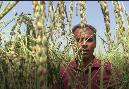 Odia farmer Sudam Sahu turns Agriculture Critic for his Land-to-Lab technology