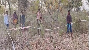 Minor girl raped and murdered in Angul, one detained
