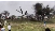 Two Indian Air Force pilots killed as Jaguar Fighter Jet crashes in Raj 