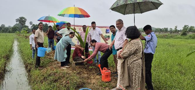 OSOU launches green initiatives from new campus under “Eco Cash Forest’ mission