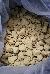 DRI officials seize 119.4 kg of Alprazolam worth Rs. 23.88 crore from Andhra Pradesh; 8 arrested