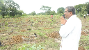 Addressing the gathering, Pradhan highlighted the campaign’s emotional foundation, inspired by Prime Minister Narendra Modi’s vision of planting “a tree for mother,” calling it a heartfelt commitment to preserving nature for future generations