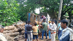 During the raid, officials seized sawmill equipment and 75.25 cubic feet of valuable timber. The estimated value of the seized timber and accessories stands at ₹12,03,655