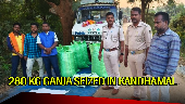 Odisha: 280 kg ganja seized in Kandhamal, smuggler flees