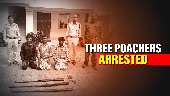 Odisha: Three poachers held with guns & bullets inside Similipal National Park