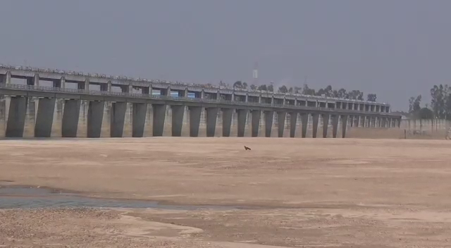 Chhattisgarh closes 61 gates of Kalma barrage