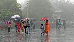 Rainfall
