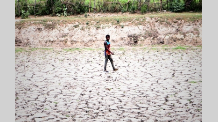 Drought like situation