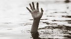 On August 16 August, a woman named Jyotsna Jena of Patapur area under Bari block of Jajpur district was dragged and killed by a crocodile. The incident occurred while Jena had gone to Birupa River to wash clothes