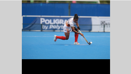 Hockey PLayer Annu