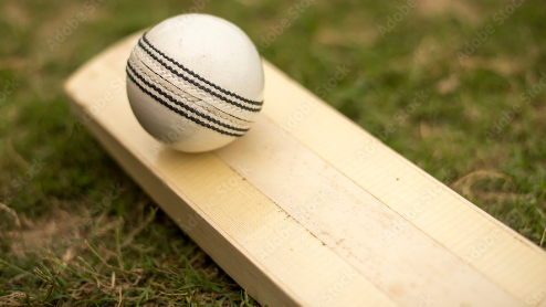 Cricket Bat and White Ball