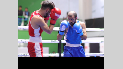 Indian Boxer