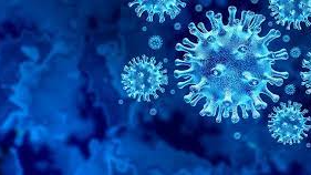 Researchers have discovered a type of immune cell in the human body known to be important for allergy and other immune responses that can also attack and eliminate cancer and fight viruses like SARS-Cov-2, which causes Covid-19 infection.
