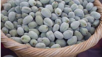 As the monsoon season brings a refreshing change to the environment, it also ushers in a variety of seasonal foods that can benefit your health