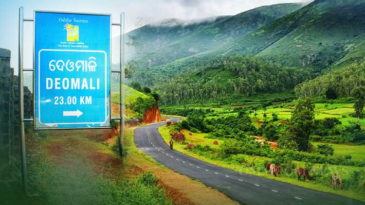 Deomali, the highest peak in Odisha located in Koraput district, is going to transform into a new wedding destination with the development of essential infrastructure. 