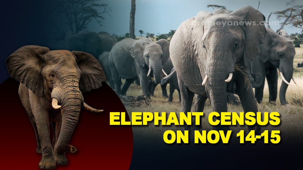 The Odisha government will carry out an elephant census on November 14-15 to evaluate both the resident elephant population and the transient elephants that frequently migrate from neighboring states like Jharkhand and Chhattisgarh