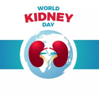 kidney