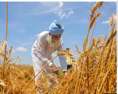 Agri exports