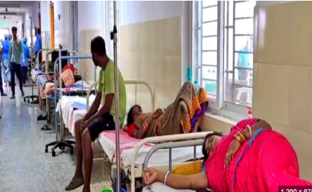 The arrest follows extensive searches conducted at multiple properties linked to Bagh. Preliminary investigations revealed possession of assets grossly disproportionate to his known sources of income. These include two buildings, a 3-BHK flat, approximately 84 acres of land — including two farmhouses spread over 48 acres in Nabarangpur — 312 grams of gold, bank deposits exceeding ₹58 lakh, and a benami Brezza car, among other assets