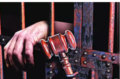 In a significant crackdown on tiger skin trafficking, a joint operation led by the Forest Department and the Similipal Tiger Reserve (STR) team has resulted in the arrest of seven individuals, including a government school teacher.