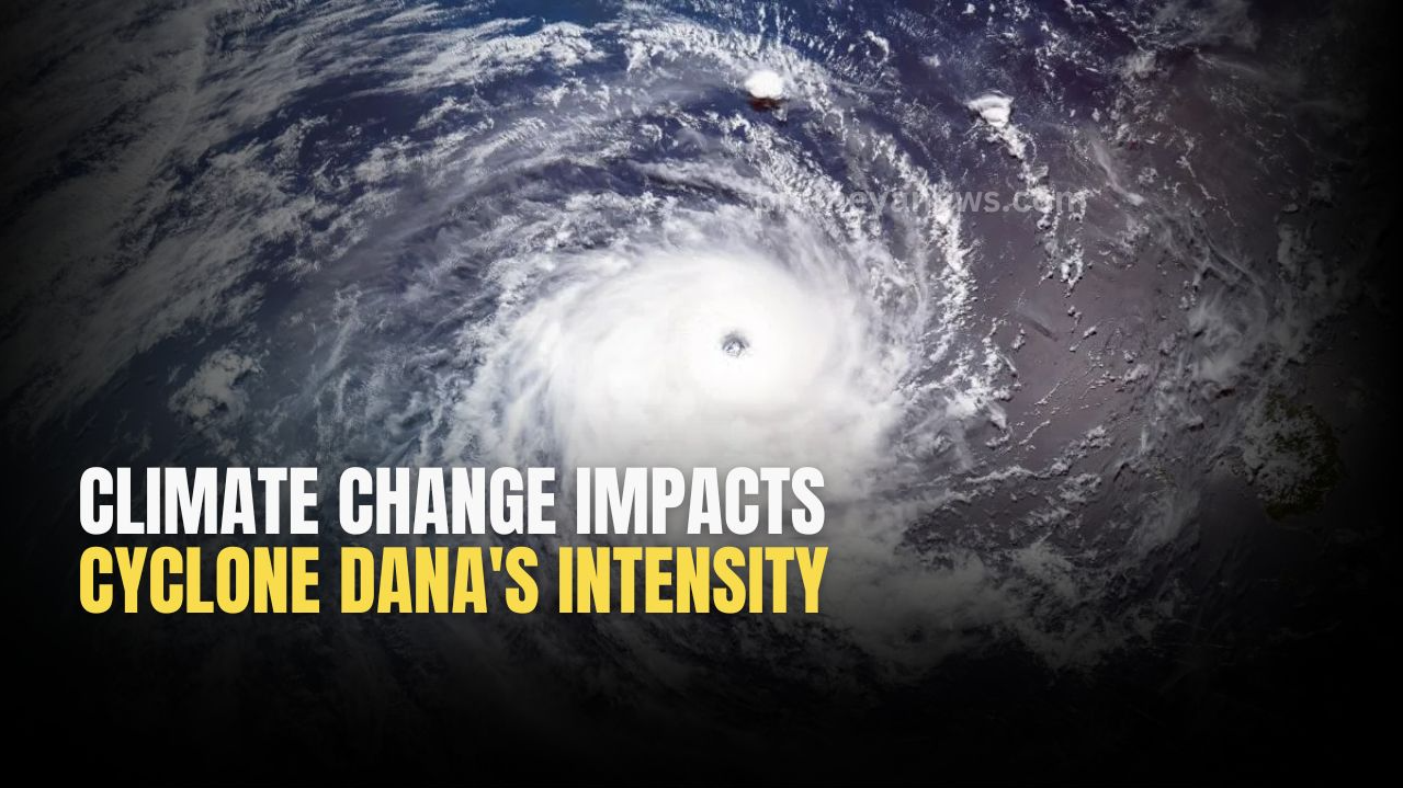 Cyclone Dana