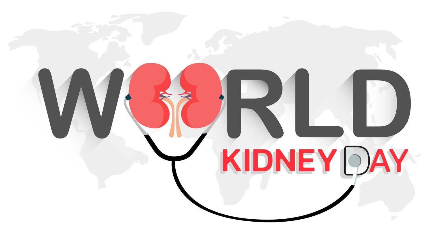 Kidney