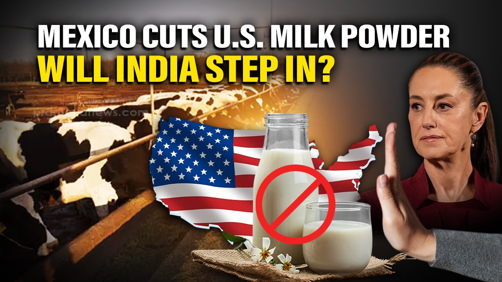 mexico milk powder