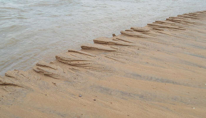 Baliharachandi Beach in Odisha