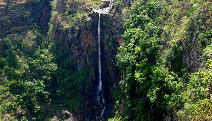 Simlipal National Park in Odisha