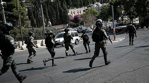 Israel Defense Forces (IDF)