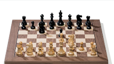 SOA IGM Chess Festival