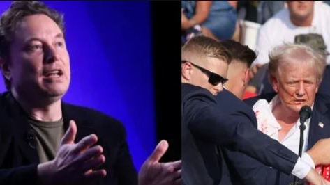 Assassination bid: Elon Musk leaps up towards Donald Trump