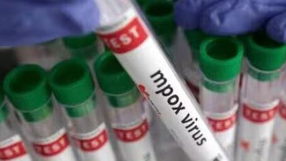 dengue vaccine, DengiAll