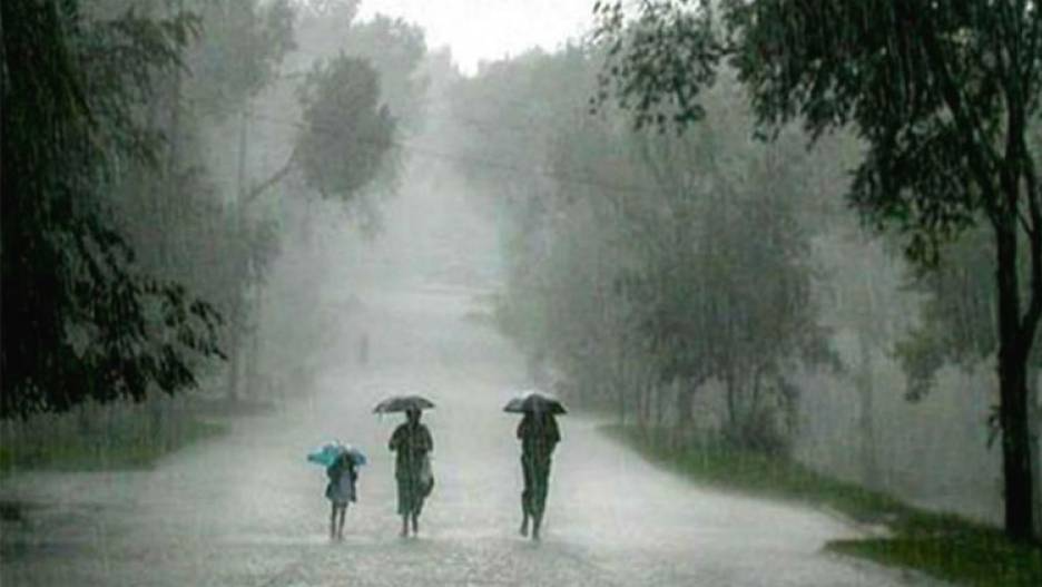 IMD predicts cyclone genesis in Bay of Bengal, 20cm rain likely in Tamil Nadu, Odisha rains on Oct 19