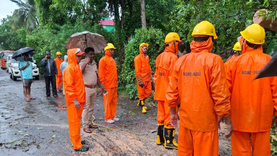 Climate Resilience Cell Odisha 