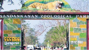 The Nandankanan Zoological Park (NZP) and the State Botanical Garden reopened today after being closed for two days due to Cyclone Dana.