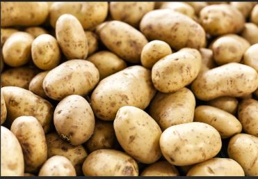 Potato