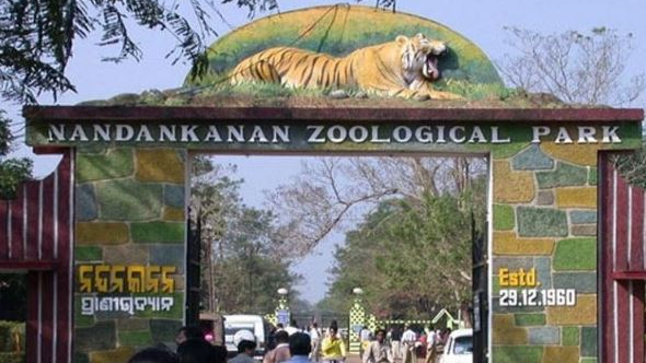 Nandankanan Zoo in Bhubaneswar has taken a significant step towards enhancing visitor convenience by introducing a digital ticket booking system.