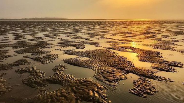 Have you ever heard of the magical beach in India where the sea seemingly plays a game of hide and seek, appearing and disappearing in the blink of an eye?