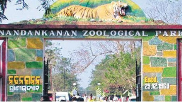 The Nandankanan Zoological Park authorities in the capital city have made special arrangements for the animals to overcome the effects of the heat wave prevailing in the region