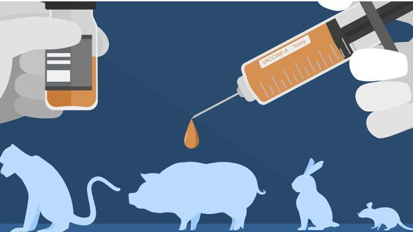 Every year on April 24th, the World Day for Laboratory Animals is observed to raise awareness about the millions of animals used in experiments worldwide and to advocate for their welfare